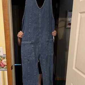 Free People denim overalls
